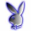 Le classement des playboy